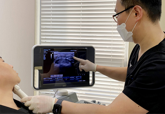 초음파 진단을 통한 지방층 분석