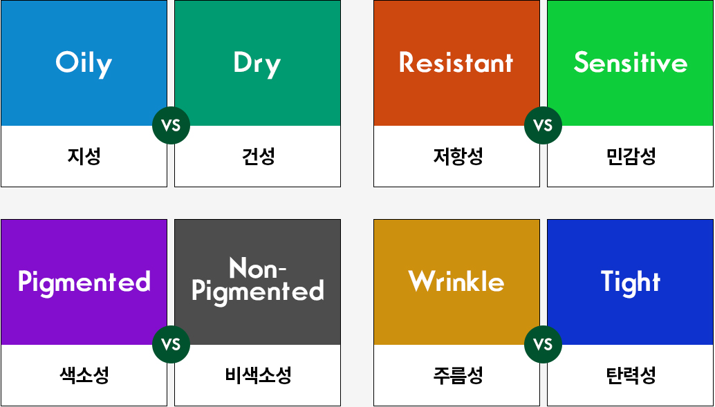 4가지 기준으로 분류한 16가지 피부타입
