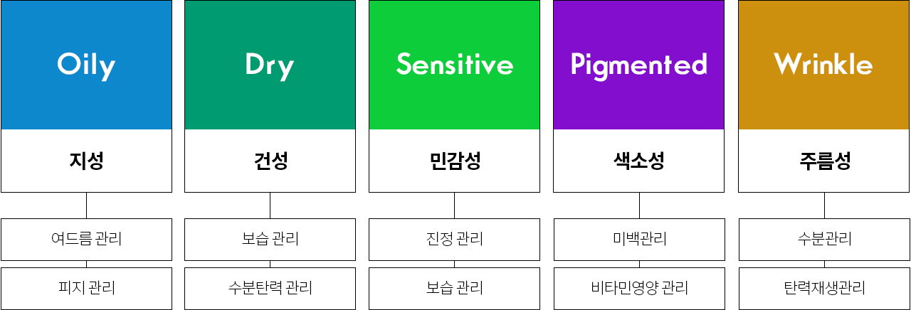 커스텀 스킨케어 프로그램